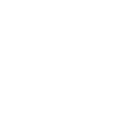 Neuromine